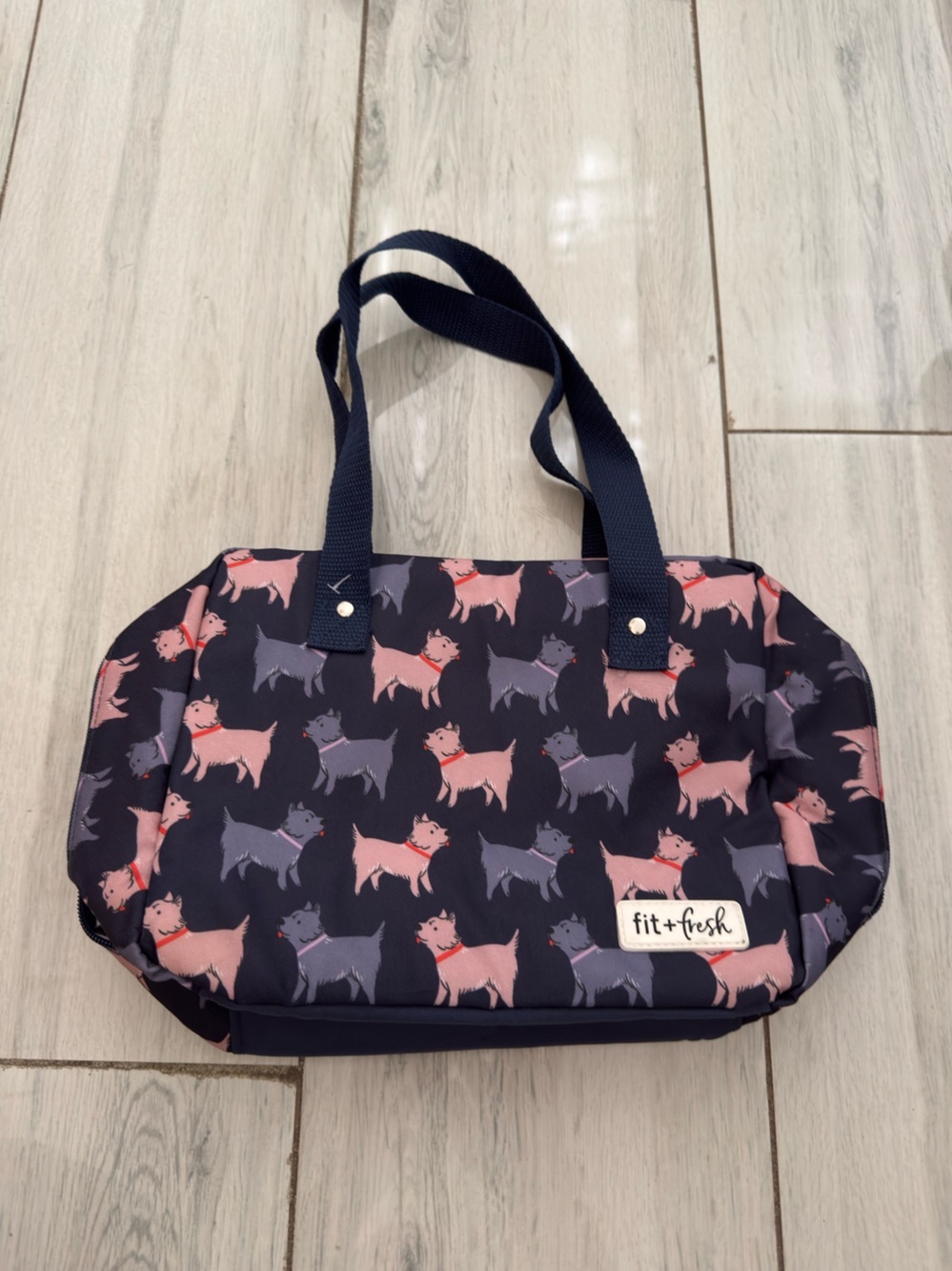 Fit + Fresh lunch bag features dogs design navy blue 8 by 12
